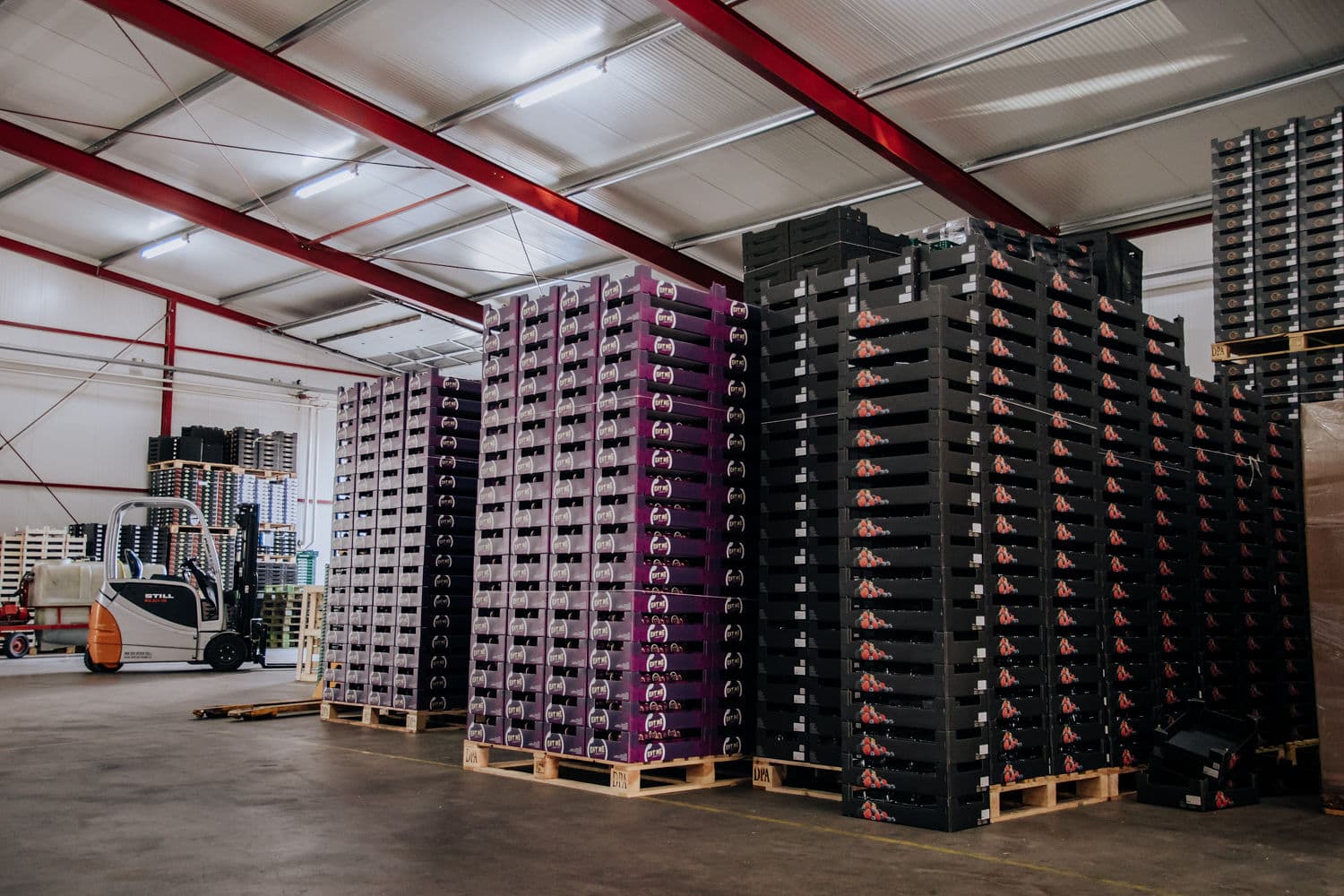 Meer vraag naar paprika's