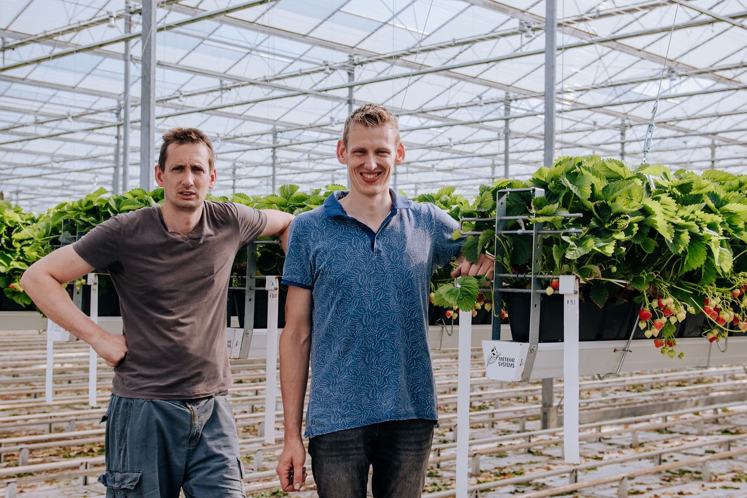 Overname van het bedrijf