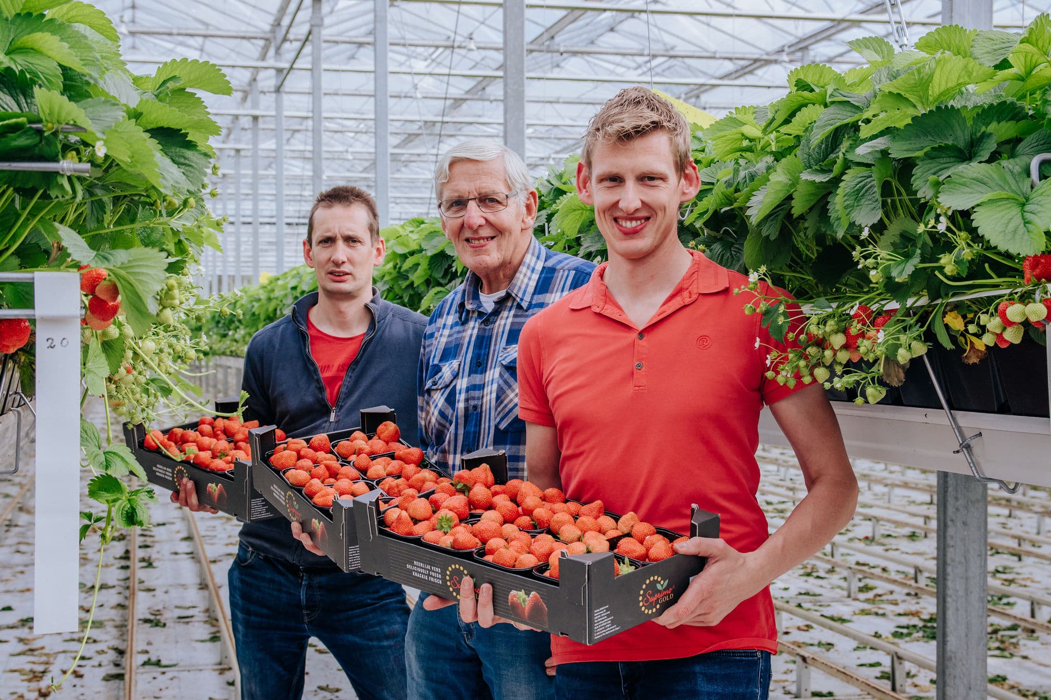 Familie met aardbeien